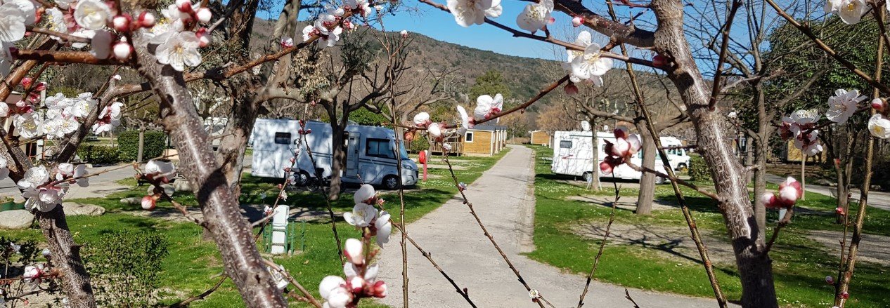 Camping Amélia Pyrénées Orientales emplacements