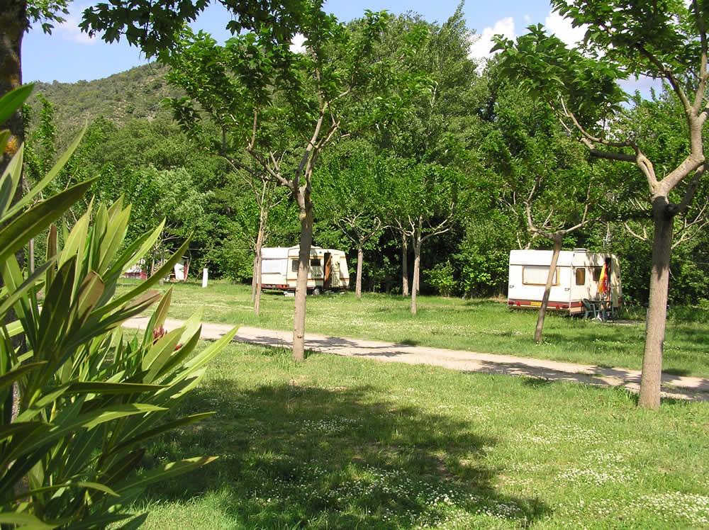 Camping domaine de Griggione emplacements