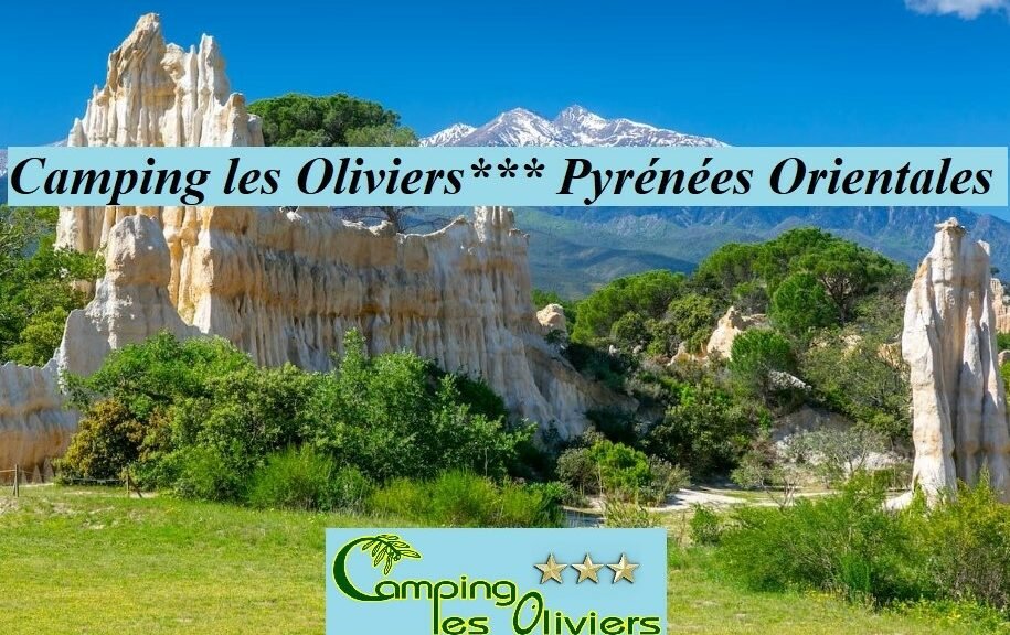 Camping les Oliviers Pyrénées Orientales.66